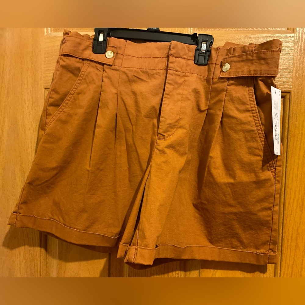 Liz Claiborne Women's Brown Shorts